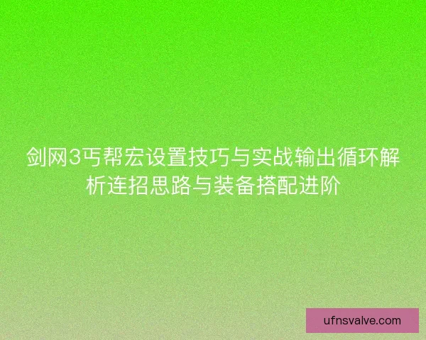 剑网3丐帮宏设置技巧与实战输出循环解析连招思路与装备搭配进阶